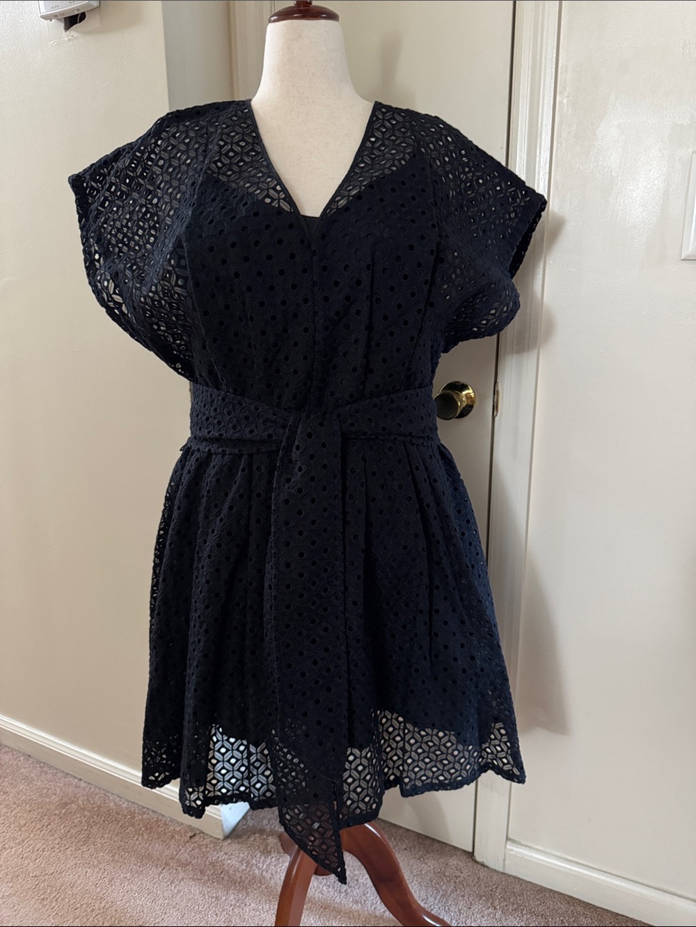 Banana Republic Black Eyelet V-Neck Mini Dress